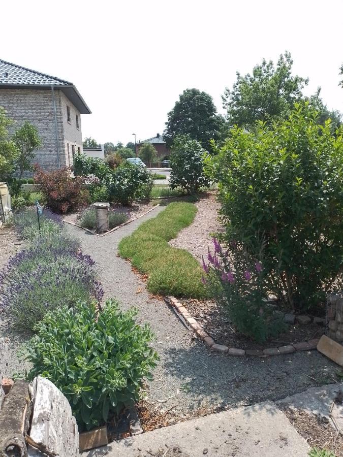 Uckermark "Ferienwohnung Sommerfugl " Passow  Exterior photo