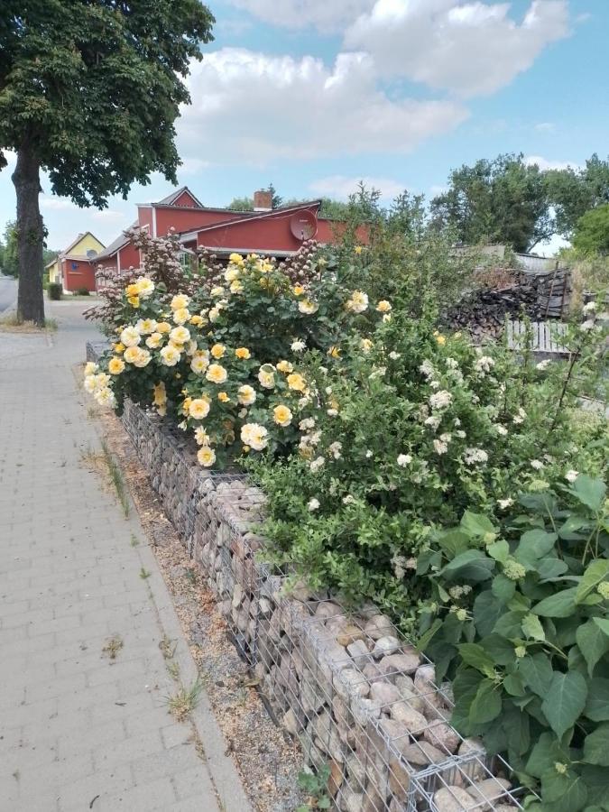 Uckermark "Ferienwohnung Sommerfugl " Passow  Exterior photo